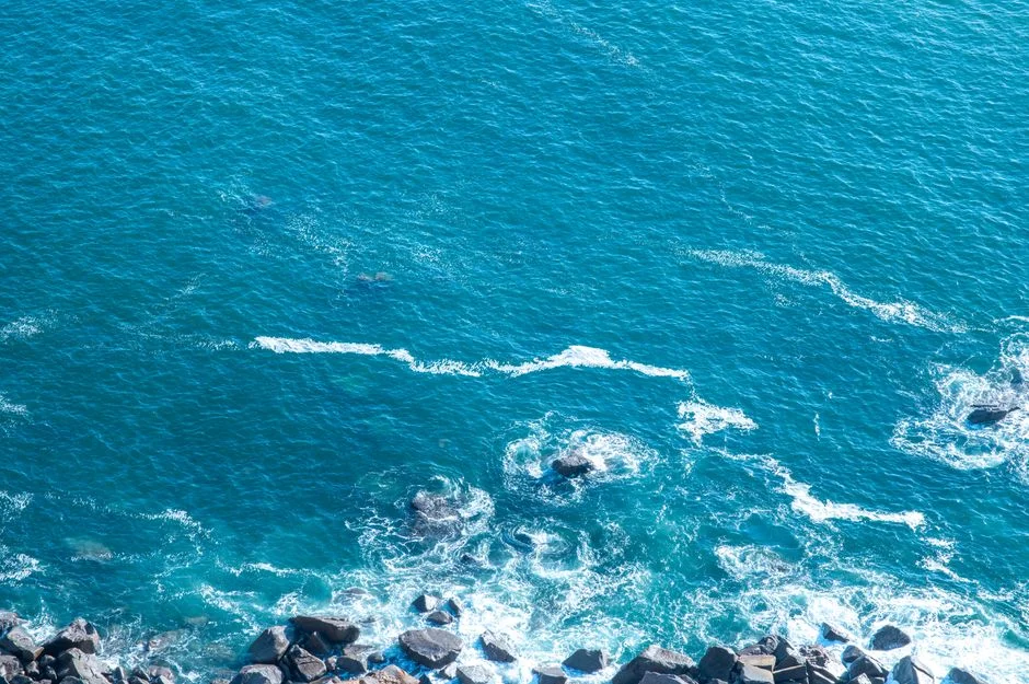African Ocean Guardians Slam Exclusion from Global Conservation Talks — Development