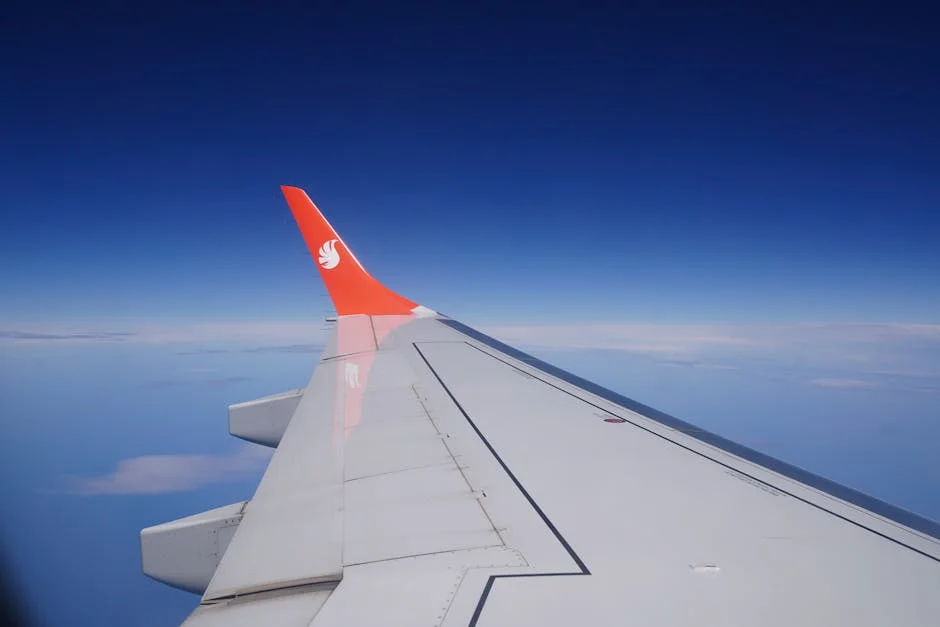 Air Peace Partners with Turkish Airlines to Boost Nigerian Travel Options — Business Economy