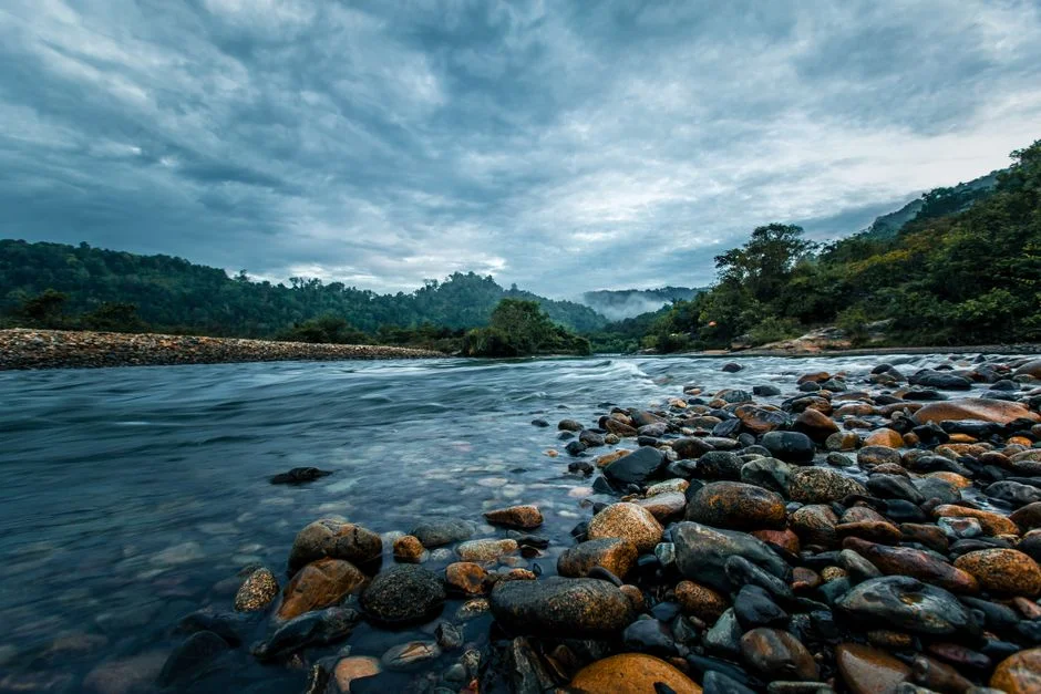 Arunachal Pradesh Battles Flash Floods — Thousands Displaced as Monsoon Strikes — Local News