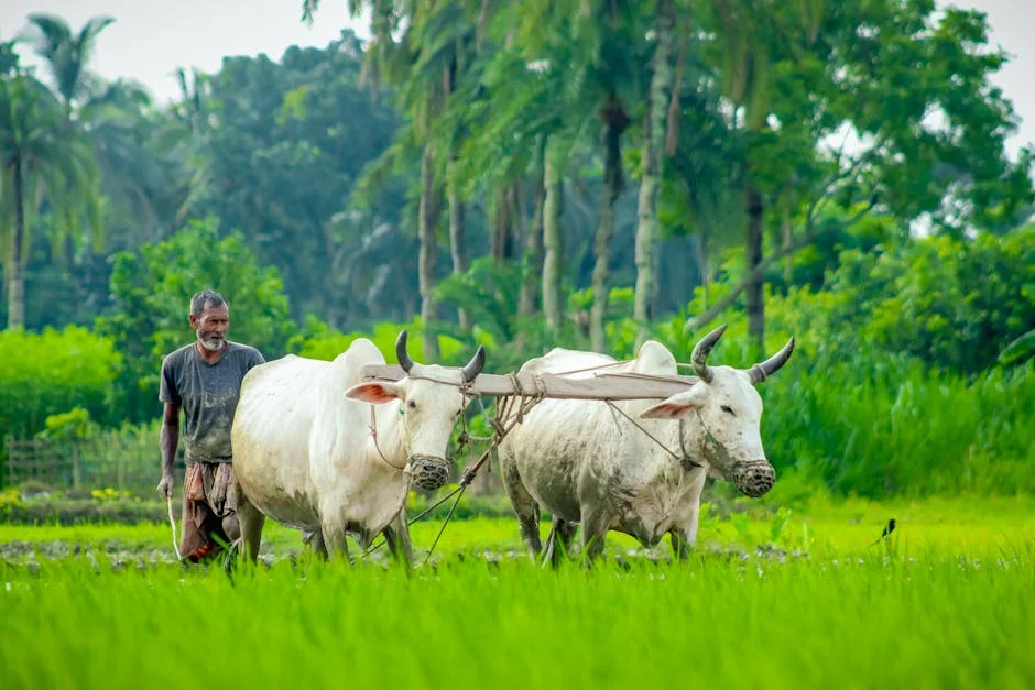 Congress Halts Assam Strategy After Shock Poll Loss