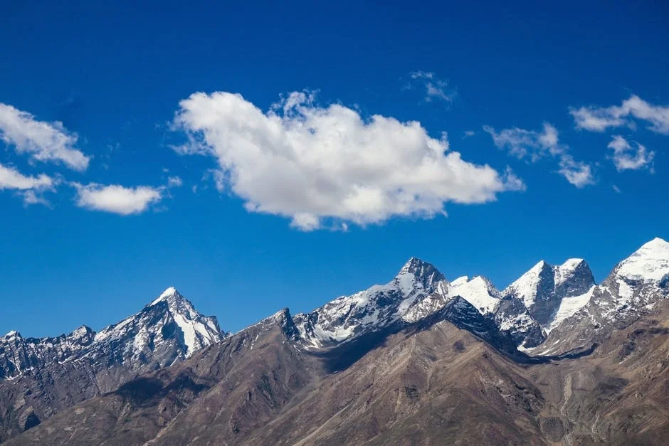 Delhi and MP Welcome Thundershowers as Himachal Faces Heavy Rainfall — Business Economy