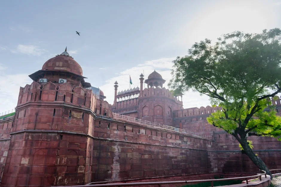 Delhi HC Appoints Amicus for AAP Leaders