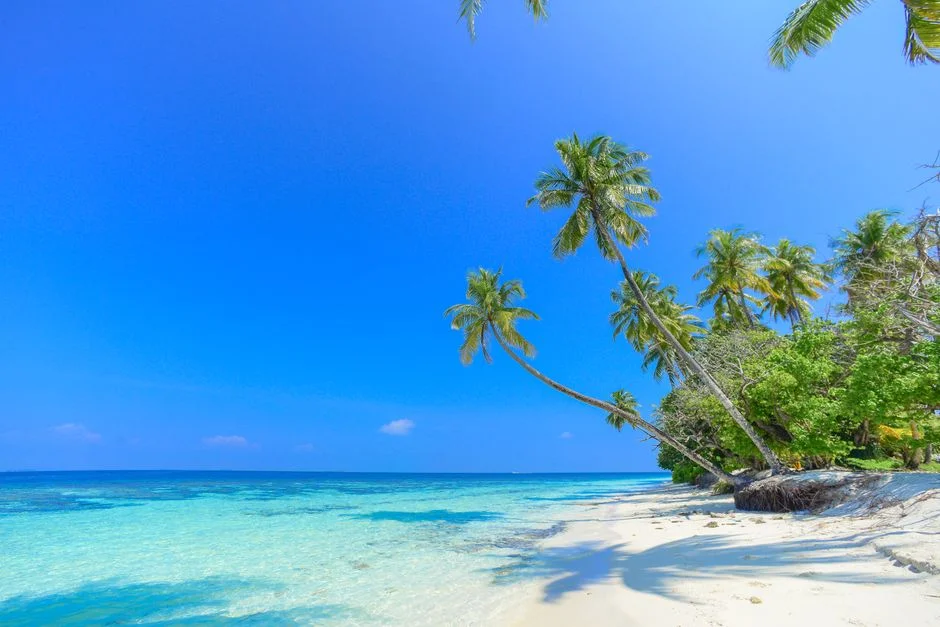 India Confirms UPI Launch in Seychelles by Year-End — Digital Payments Cross Another Border — Development