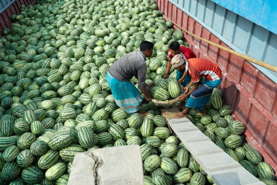 India Exporters Face Crisis as US Tariffs and West Asia Woes Converge