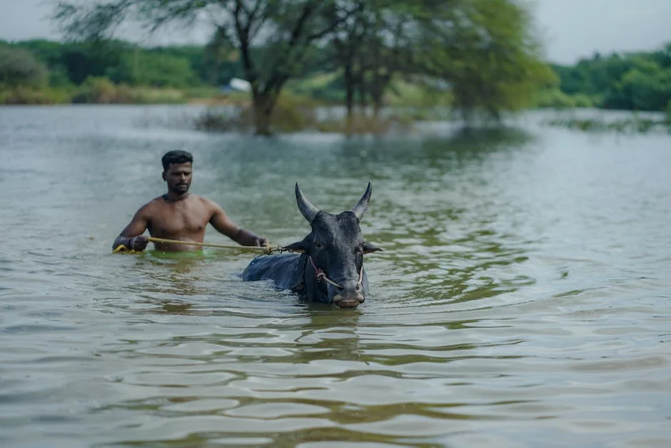 India Faces Below-Average Monsoon in 2026 as El Niño Conditions Build
