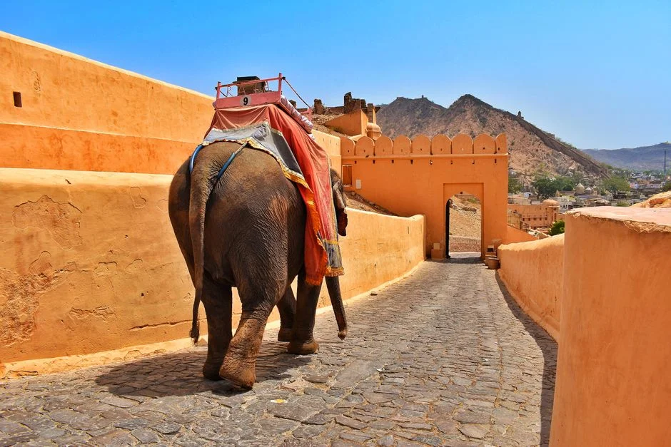 India Gains Visa-Free Transit at German Airports — Booking Sites Already Lighting Up — Local News