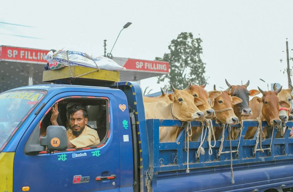India Hikes Fuel Prices Again — What It Costs You Daily