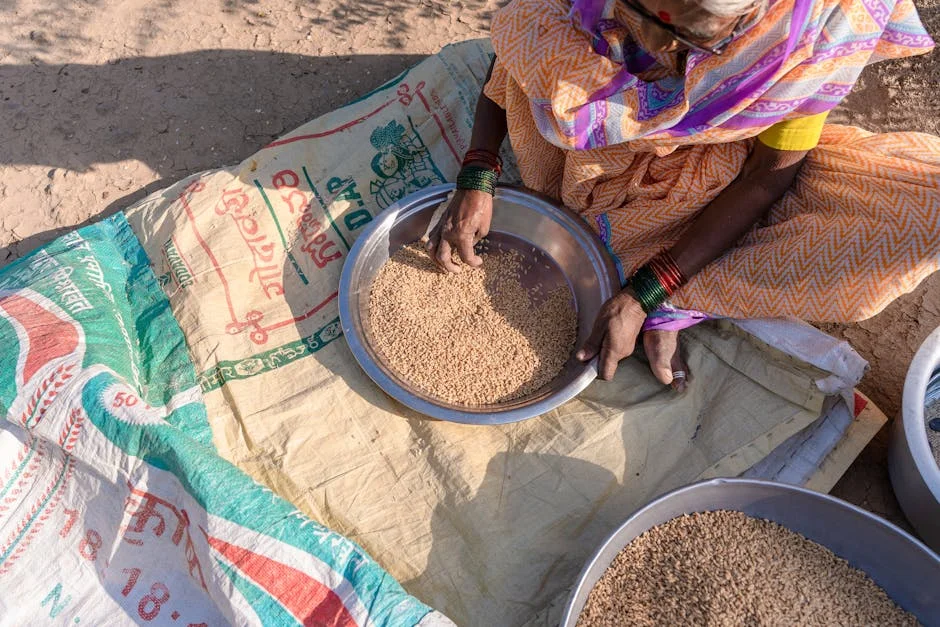 India Turns to Nigeria for Soybeans Amid Domestic Supply Challenges — Business Economy