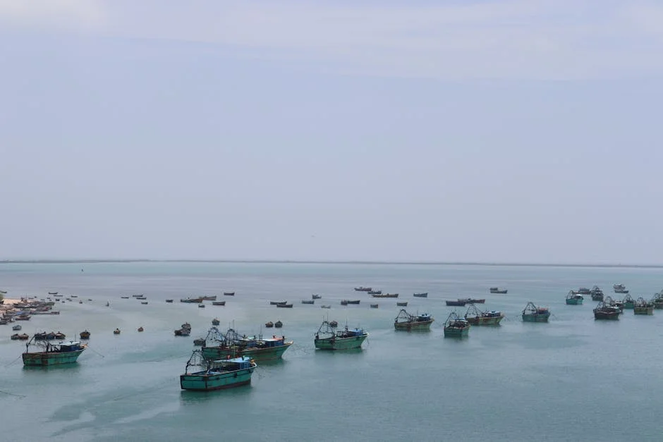 Indian Navy Thwarts Pirate Attack in Indian Ocean — Merchant Ship Saved — Development