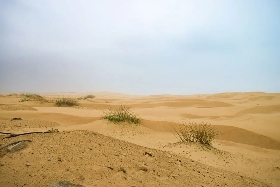 India's Desert Megaproject That Could End Its Oil Dependence on the Gulf — Politics Governance