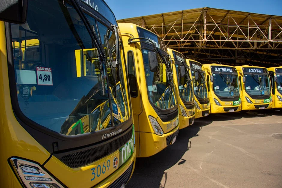 Madhya Pradesh Revives Public Bus Fleet After 21-Year Hiatus — Local News
