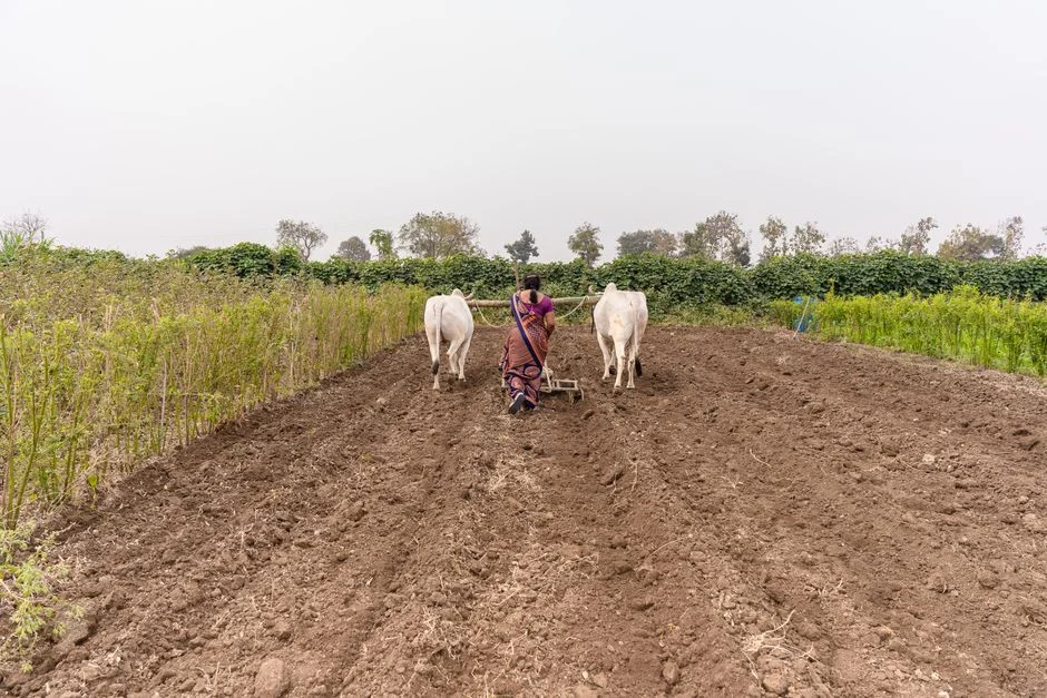 Maharashtra Tables Women Farmers' Empowerment Bill — Here's What It Proposes — Local News