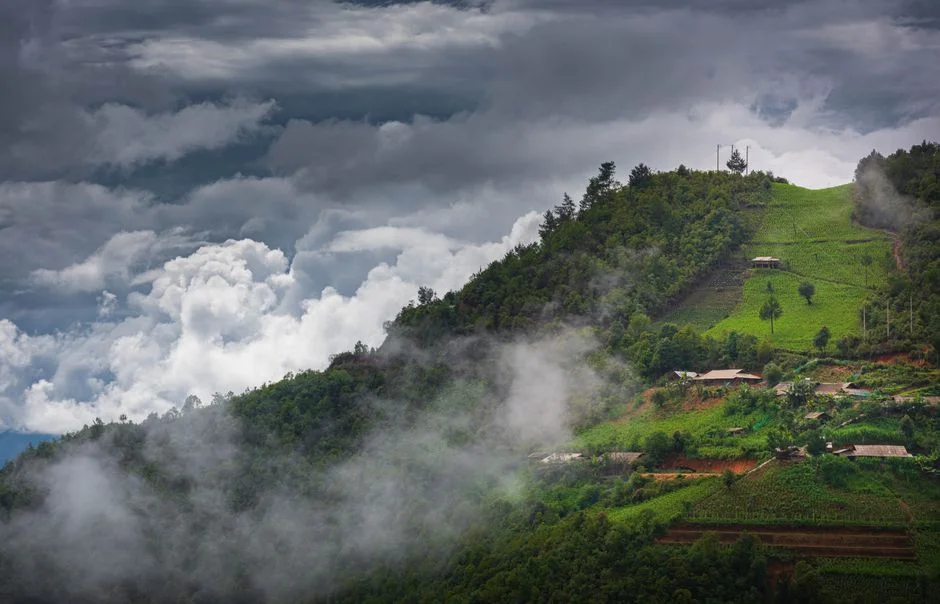 Monsoon Advances Across North and Central India — Kharif Sowing Gets Early Boost — Development