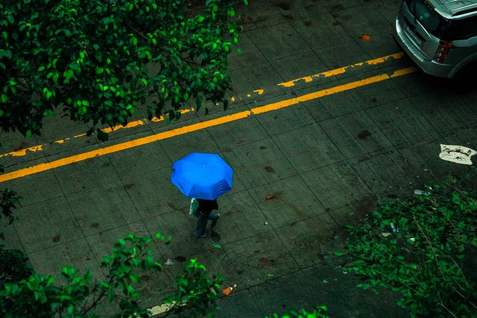 Monsoon Finally Reaches Delhi — Five Days Late After Brutal Heat Wave — Crime Law