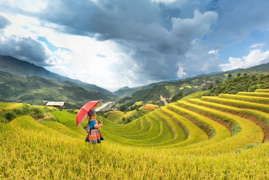 Monsoon Season Arrives — South Asia Braces for Seasonal Rains — Business Economy