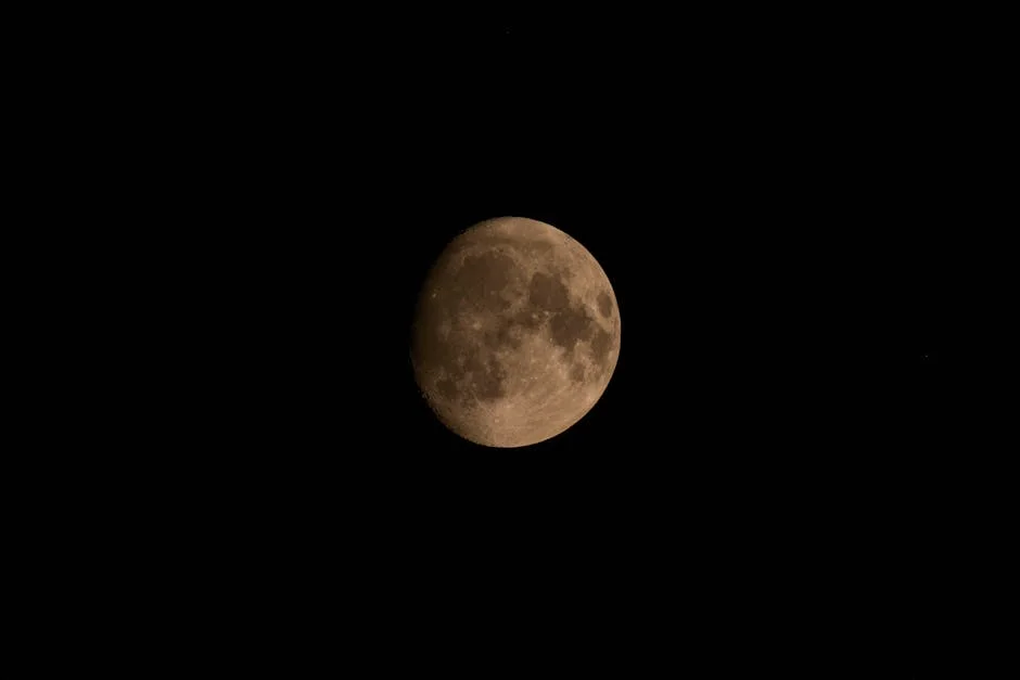 Nasa's Moon Mission Sparks Local Interest — What It Means for India — Business Economy