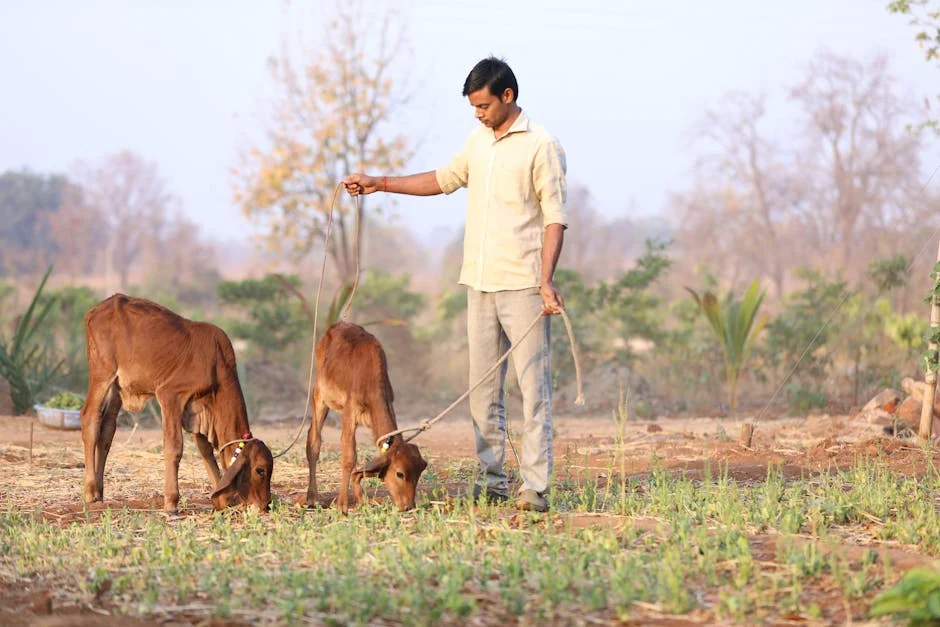 NT Rama Rao Transforms Andhra Politics — Citizens Feel the Impact Today — Health Medicine