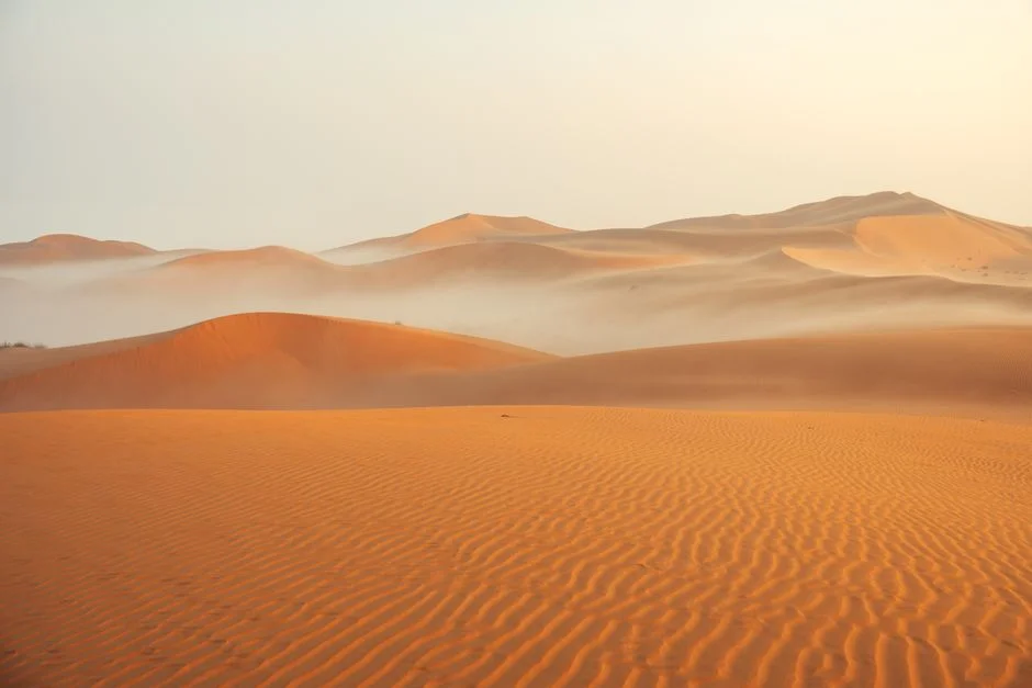 Rajasthan's Sandstorm Darkens Jaisalmer Skies — Residents Brace for Heat Impact