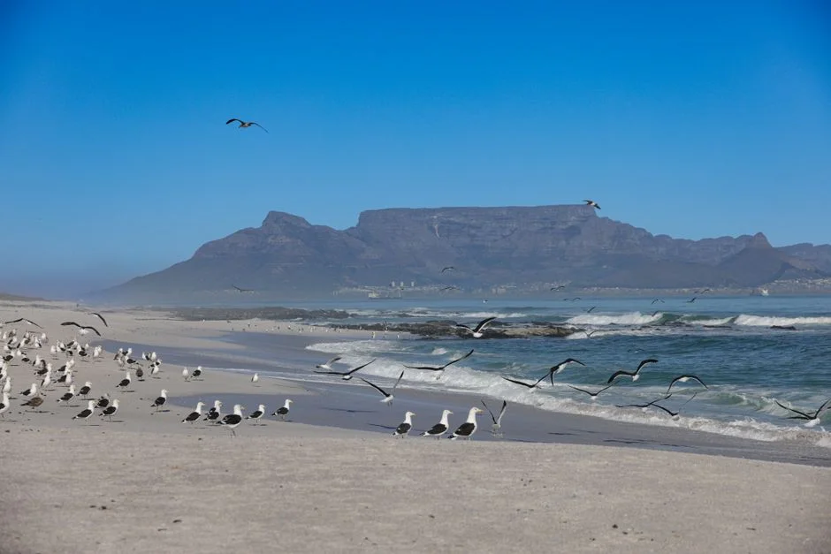 South Africa Approves 20% Judicial Pay Rise and New Court Seats