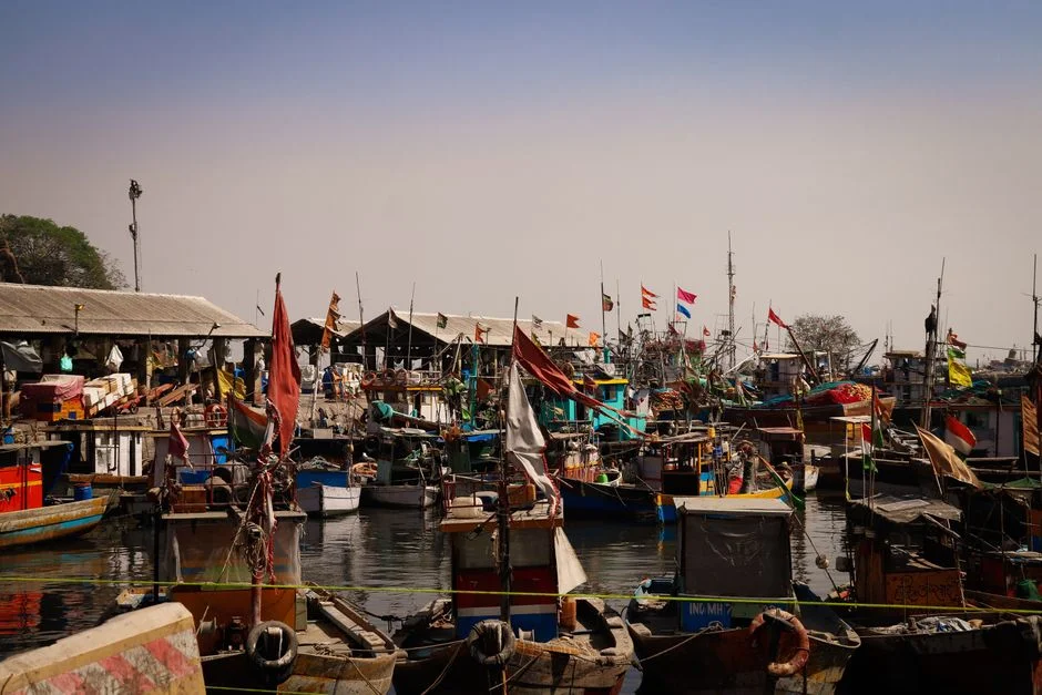 U.S. Strikes Kill Indian Sailors Off Oman — Operations Resume Hours Later — Politics Governance